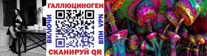 Купить  Ржев  Псилоцибиновые грибы Cubensis 